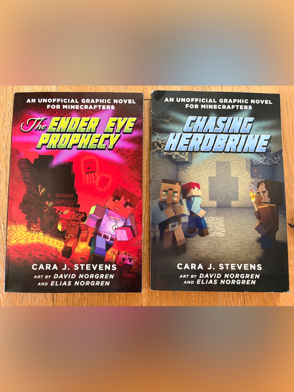 Minecraft Books!